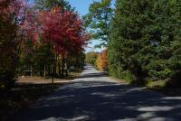 Nature - Autumn Road - Photography
